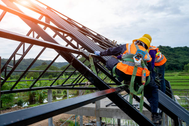 Best Roof Maintenance Services  in Harrisville, UT