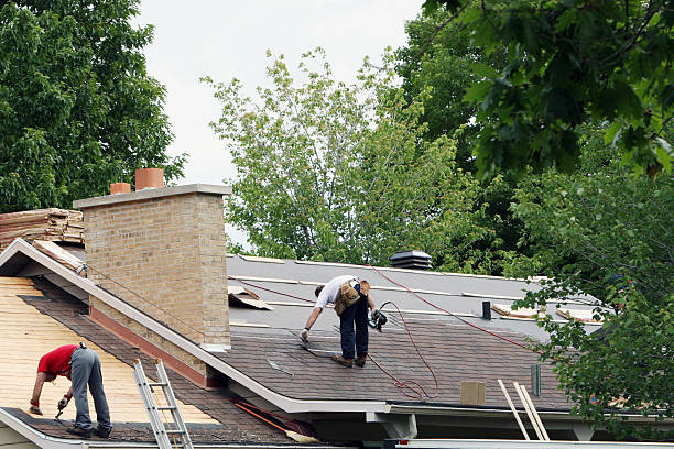 Best Roof Gutter Cleaning  in Harrisville, UT