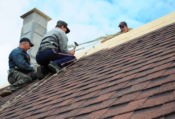 Best Storm Damage Roof Repair  in Harrisville, UT